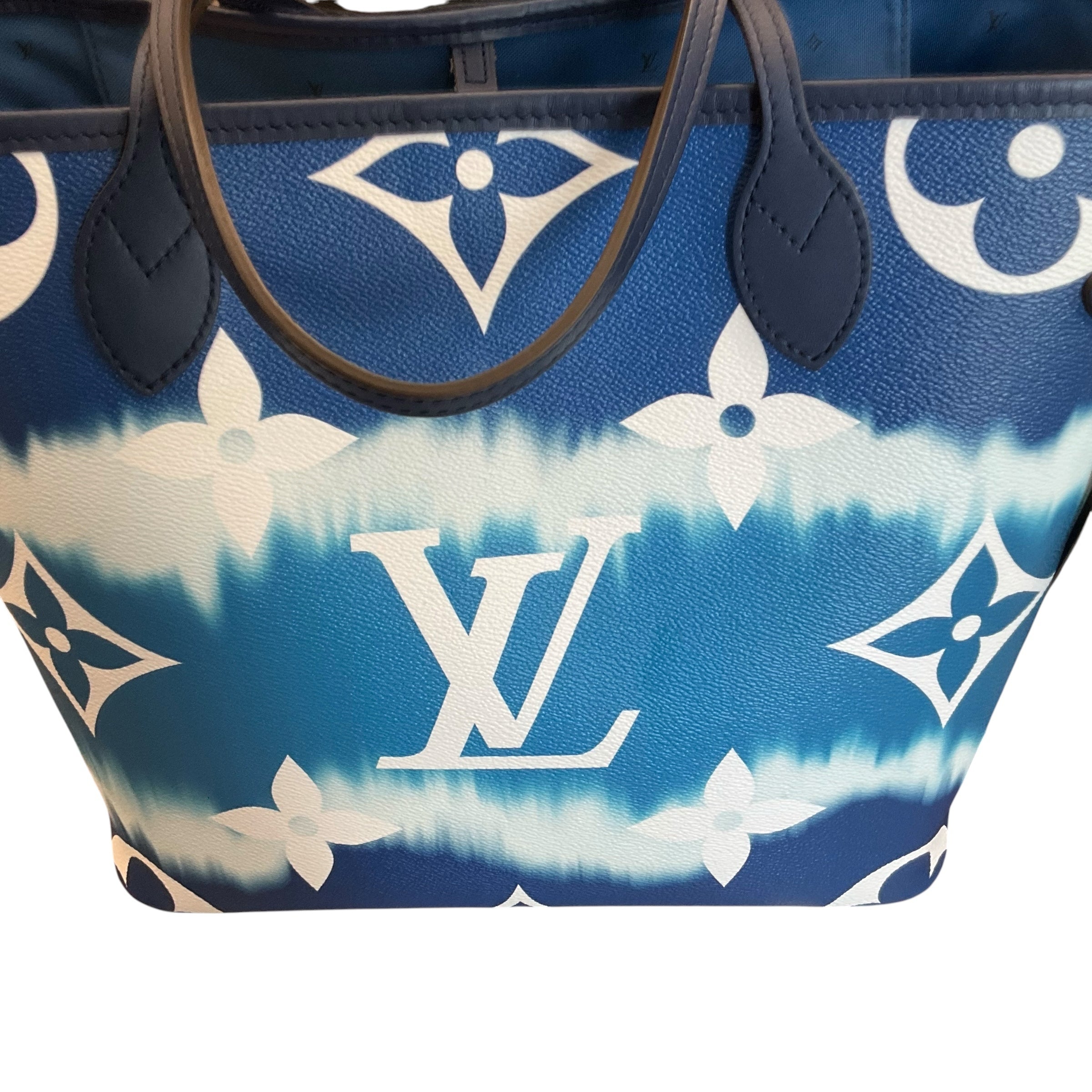 Louis Vuitton Handbag – Chic At The Beach